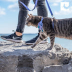RC Pets Adventure Kitty Harness Includes Adjustable, Airmesh Fabric - Image 6