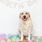 Happy Birthday Dog Bandanas, Double Sided Adjustable Birthday Party Pet - Image 5