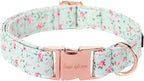 Unique style paws Dog Collar Metal Buckle Green Flowers Collar Gift Durable by Uniquestylepaws