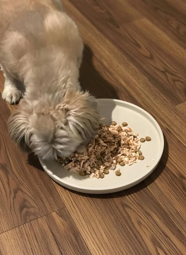 Arespark Dog Food Mat, Nonslip Waterproof Dog Silicone Feeding Bowl Mat - Image 3