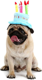 Cute Adorable Dog Cat Birthday Cake Hat Pet Cap Headwear Hat - Image 6