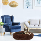 Cat Beds for Indoor Cats - Image 6