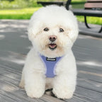 Best Pet Supplies Voyager Step-in Air Harness - Image 7