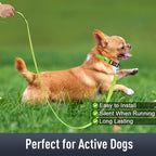 Airtag Dog Collar with AirTag Holder - Image 3