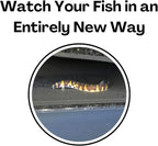 Aquarium Underground Tunnel Cave Natural Curve | Viewing Fish & Shrimp Under - Image 5