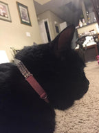 CHUKCHI Soft Velvet Safe Cat Adjustable Collar Bling Diamante - Image 6