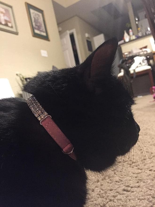 CHUKCHI Soft Velvet Safe Cat Adjustable Collar Bling Diamante - Image 6