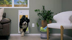 Power Pet Automatic ROLL UP Door by High Tech Pet Brand - Image 3