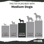 Barkbox Pumpkin Prodigy Dog Toy | Treat-Dispensing Rubber Dog Toy - Image 5