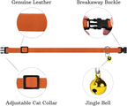 Breakaway Cat Collar Leather - Image 4