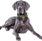 MOODEL Reflective Dog Collar for Large Dogs, Cute Camouflage Adjustable - Image 2