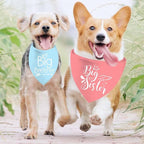 Big Sister Big Brother Dog Bandanas, Adjustable Double Sided Pet Bandana - Image 2