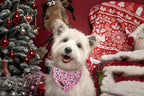 Lionet Paws Cotton Christmas Dog Bandanas Pink, Gloves Tree Comfortable Dog - Image 2