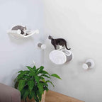 Trixie Wall Mounted Cat Lounge Set - Image 3