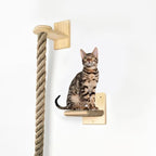Cat Climbing Rope All-Mounted Scratching Posts Cat Tree - Image 2