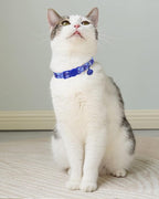 SOLMOONY Cute Cat Collar for Girl Boy, Colorful Breakaway Cat Collars - Image 2
