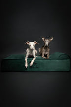 NOAH & PAW Large Dog Bed, Orthopedic Dog Beds, Eggshell Memory Foam Infused - Image 8