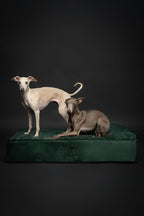 NOAH & PAW Large Dog Bed, Orthopedic Dog Beds, Eggshell Memory Foam Infused - Image 9