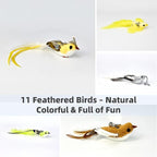 11 PCS Multi-Functional Cat Toy Replacement Heads – Realistic Handmade Bird - Image 4