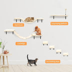 Wall-Mounted Cat Climber Set - Image 5