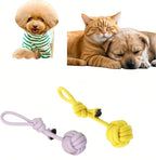 CandyColor Dog Cat Chew Rope Toy - 30cm Non-Toxic Dental Teething Toy - Image 2