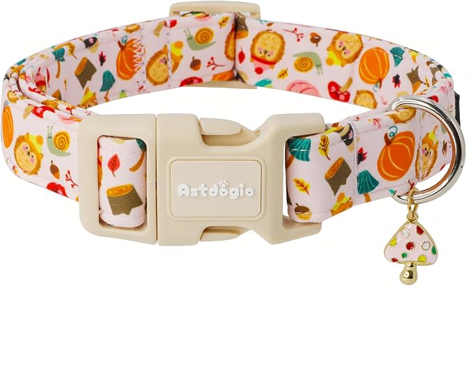 Fall Woodland Dog Collar, Playful Squirrel & Pumpkin Print on White Collar by Unknown