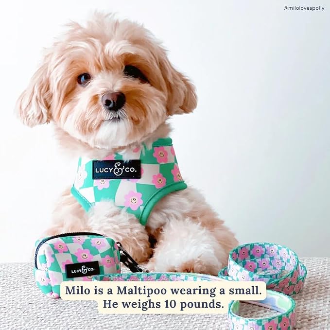 Lucy & Co. Cute Reversible Dog Harness Walking Halter - Image 3