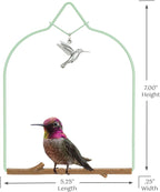 Pop's Birding Hummingbird Swing, USA Made Original Charm Humming Bird Swing - Image 5
