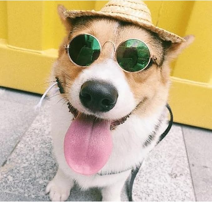 8 Pieces Pets Dog Cat Bowtie Pet Sunglasses Pet Costume Adjustable Formal - Image 5