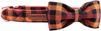 Elegant little tail Dog Collar - Image 2