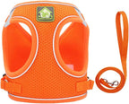 FEimaX Dog Harness and Leash Set, No Pull Breathable Soft Mesh Puppy Vest - Image 3
