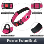 Airtag Dog Collar with AirTag Holder - Image 5