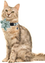 Cat Collar Breakaway with Cute Sunflower and Bell Plaid Flower - Image 4