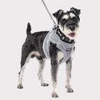 PUPTECK Adjustable Dog Harness Collar and Leash Set Step in No Pull Pet Harness - Image 6