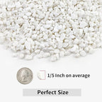 10LB Succulent and Cactus Gravel, 1/5 Inch White Natural Decorative Polished - Image 2