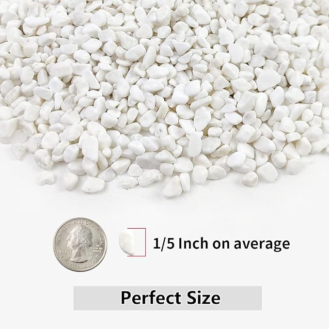 5LB Succulent and Cactus Gravel Pebbles, 1/5 Inch White Natural Decorative - Image 2