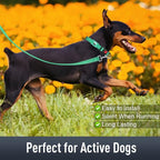 Airtag Dog Collar with AirTag Holder - Image 3