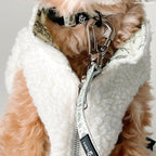 Lucy & Co. Dog Collar - Image 2