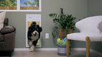 Power Pet Automatic ROLL UP Door by High Tech Pet Brand - Image 3