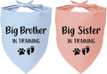 2 Pack Dog Bandana Pregnancy Announcement, Big Brother Sister in Training by YROVWENQ