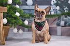 Lionet Paws Christmas Dog Bandana Washable Cotton Handkerchief Scarf Triangle - Image 2
