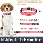 Airtag Dog Collar with AirTag Holder - Image 6