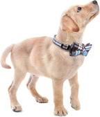 Faleela Soft &Comfy Bowtie Dog Collar, Detachable and Adjustable Bow Tie Collar - Image 6