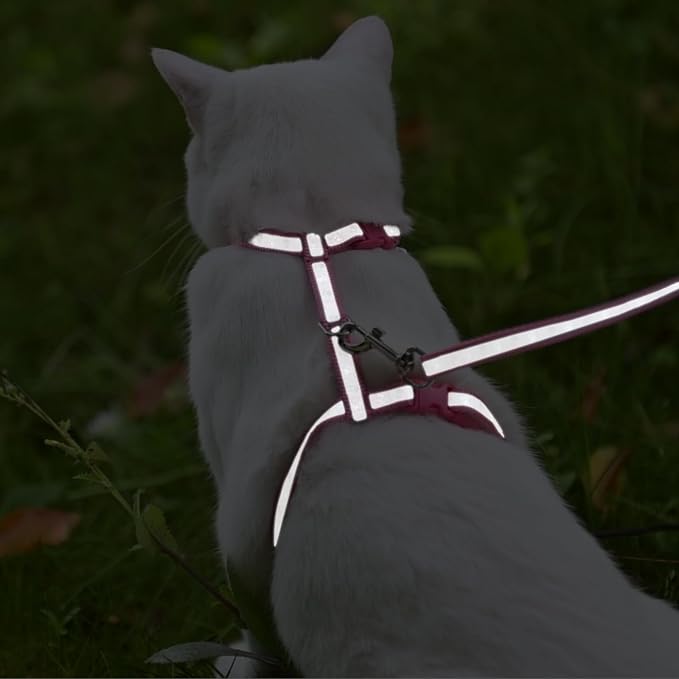 KOOLTAIL Cat Harness and Leash Set, Escape Proof Adjustable Kitten Harness - Image 6