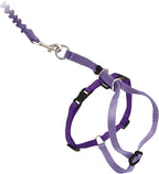 PetSafe Come With Me Kitty Cat Harness & Bungee Leash by PetSafe