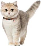 Breakaway Cat Collar Leather - Image 6