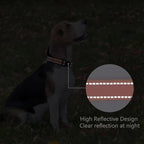 Reflective Dog Collar Padded - Image 5