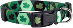 Native Pup St Patricks Dog Collar- Saint Patrick Green Shamrock Pet Collars- by NativePup