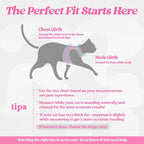 rabbitgoo Cat Harness and Leash Set - Image 2