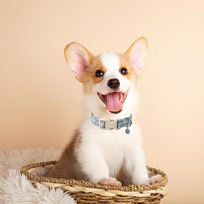 Easter Dog Collar for Medium Dogs - Image 4